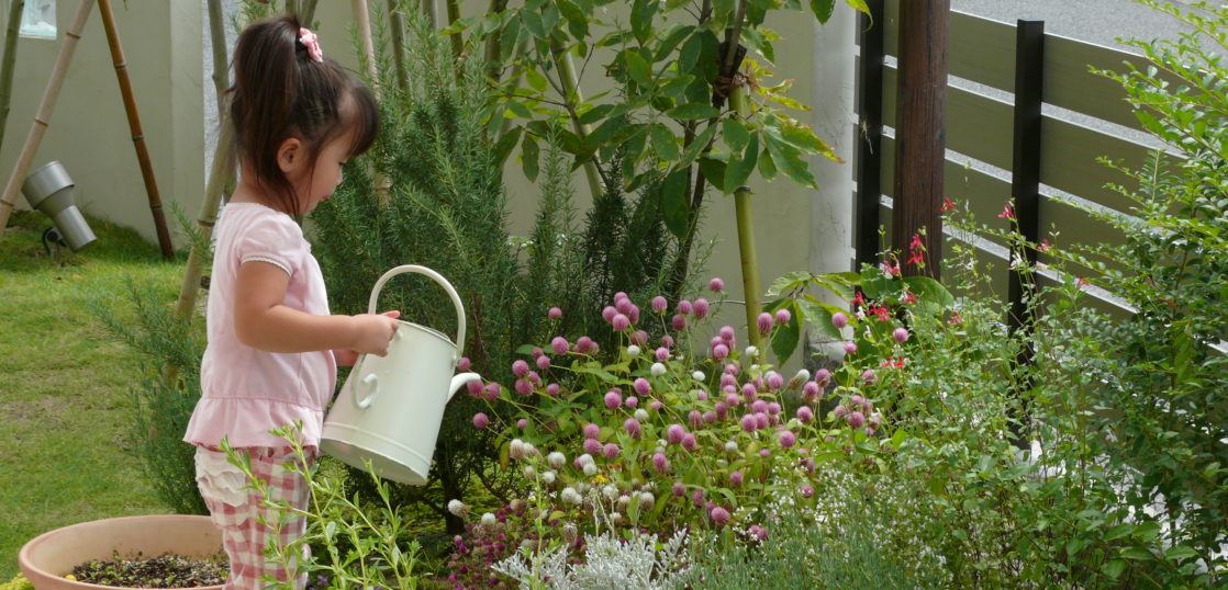 夏のお庭のお手入れ 福知山市で庭づくり ブログ 外構工事 ガーデンエクステリアのことならestina エスティナ 福知山へ